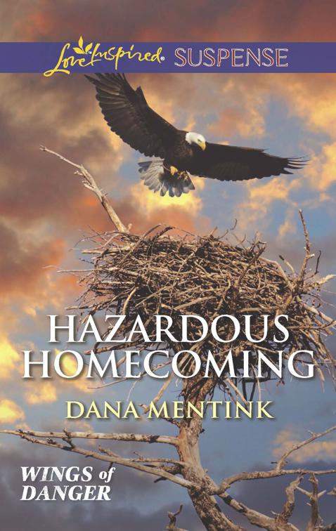 Hazardous Homecoming, Wings of Danger