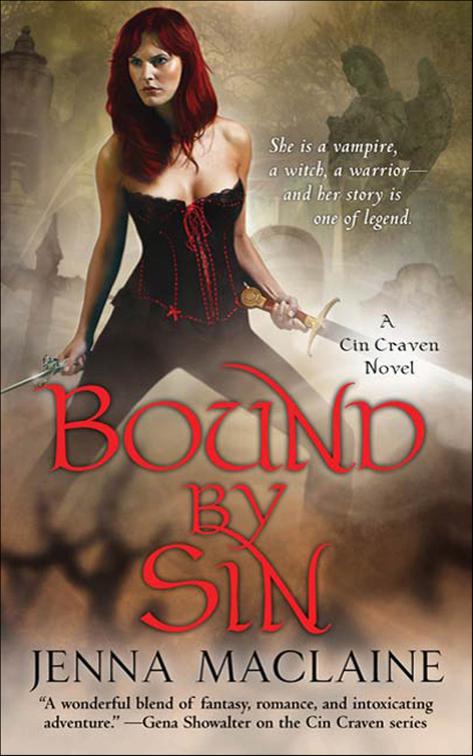 Bound by Sin, The Cin Craven Novels