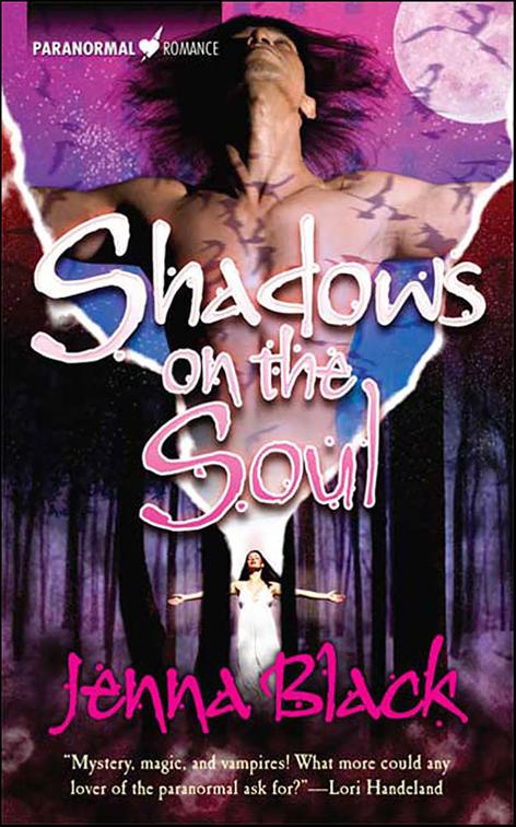 Shadows on the Soul, Guardians of the Night Series