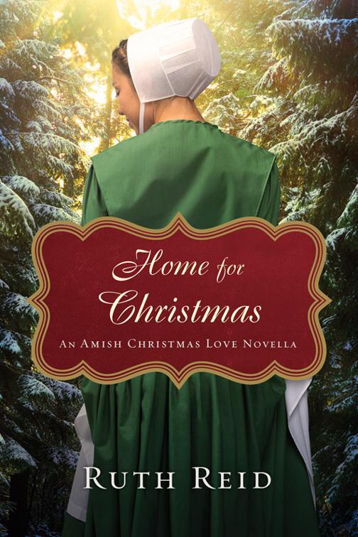 Home for Christmas, Amish Christmas Gift Novellas