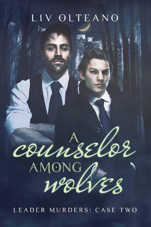 A Counselor Among Wolves, Leader Murders