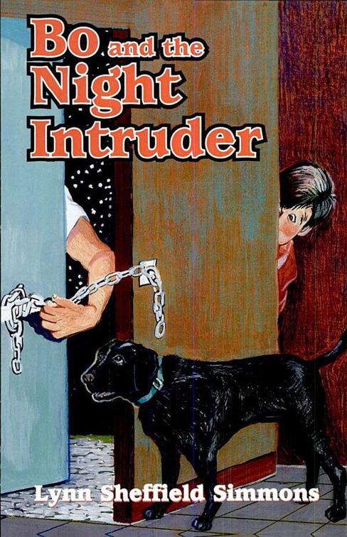 Bo and the Night Intruder, The Bo Series