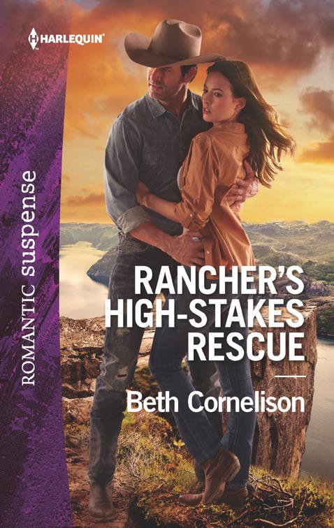 Rancher&#x27;s High-Stakes Rescue, The McCall Adventure Ranch