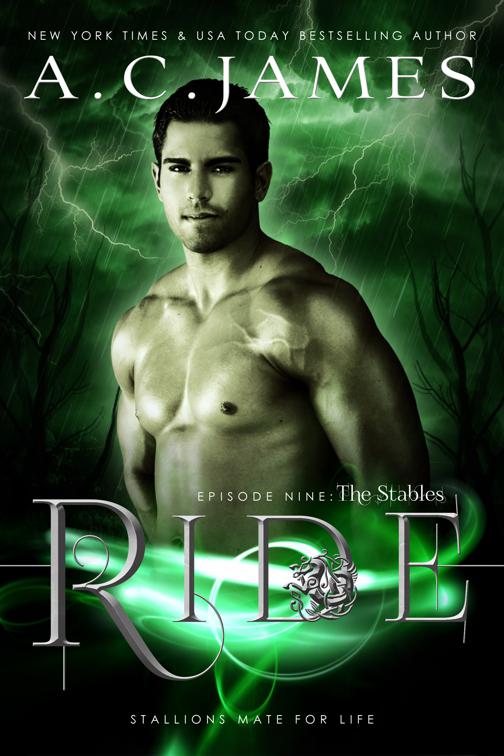 This image is the cover for the book Ride: The Stables, Puca Mates