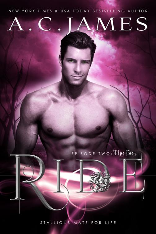 Ride: The Bet, Puca Mates