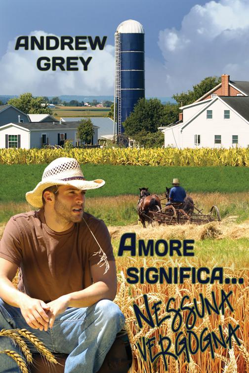 Amore significa… nessuna vergogna, Serie Amore Significa…