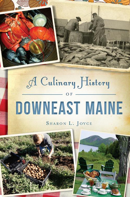 Culinary History of Downeast Maine, A, American Palate
