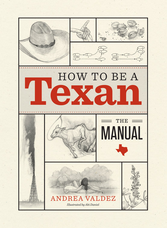 How to Be a Texan