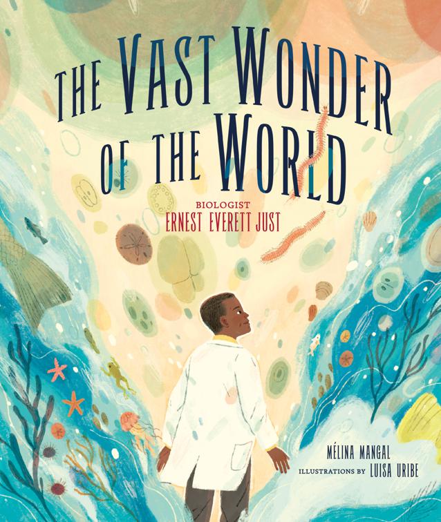 Vast Wonder of the World