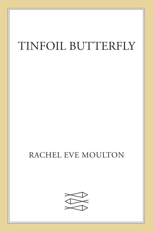 Tinfoil Butterfly