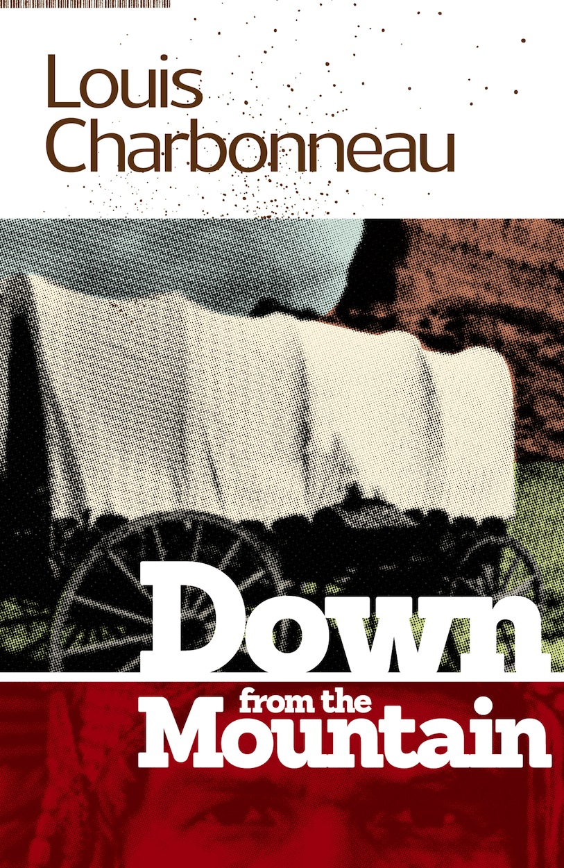 This image is the cover for the book Down From the Mountain