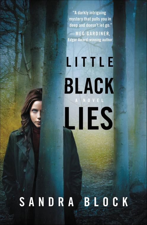 Little Black Lies, The Zoe Goldman Novels