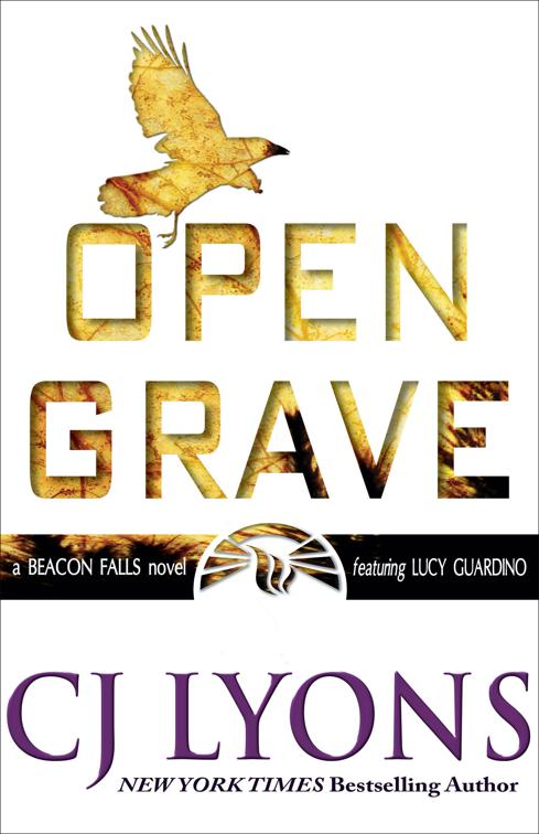 Open Grave, Lucy Guardino FBI Thrillers