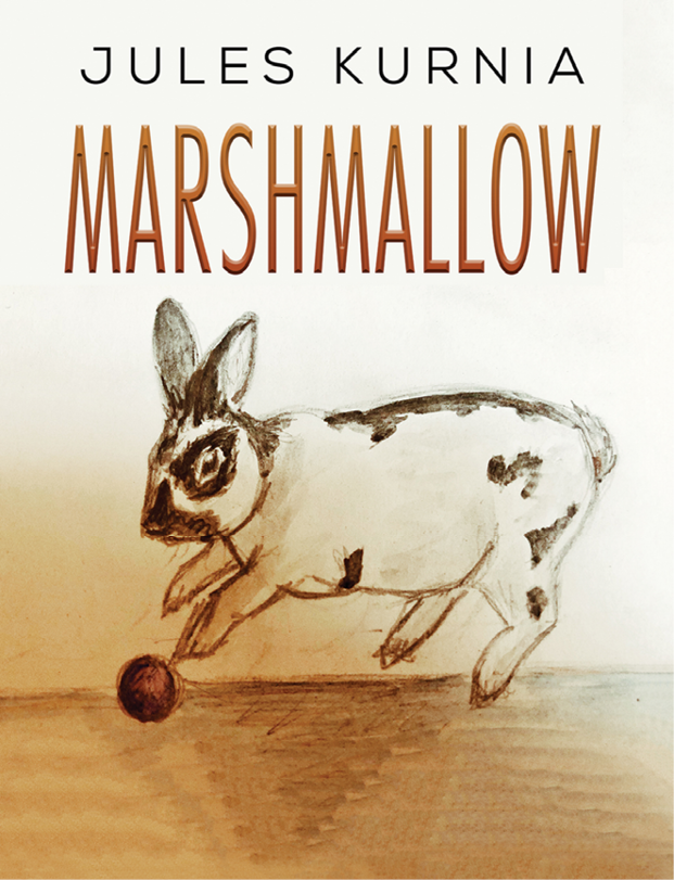 This image is the cover for the book Marshmallow