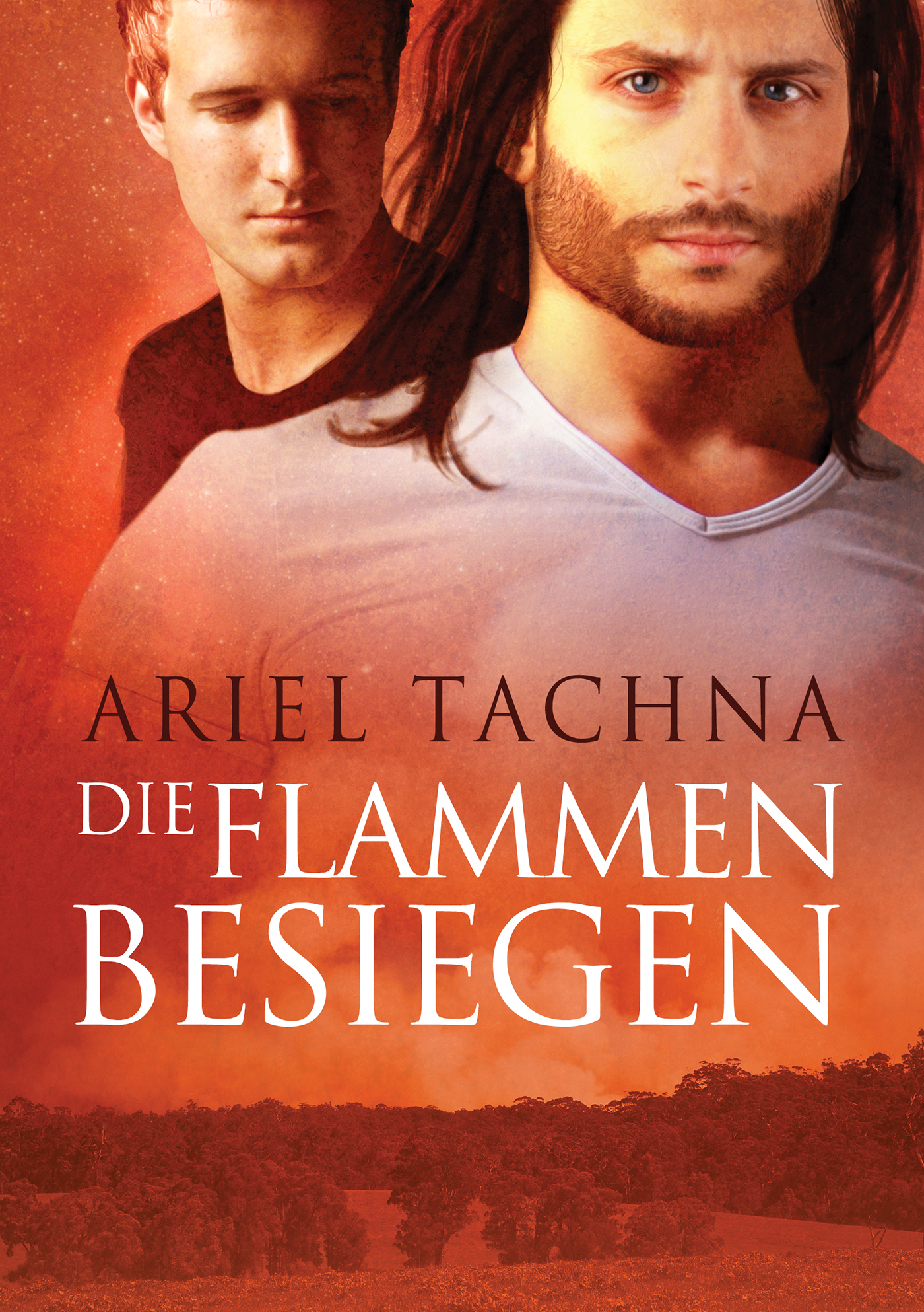 This image is the cover for the book Die Flammen besiegen, Lang Downs (Deutsch)