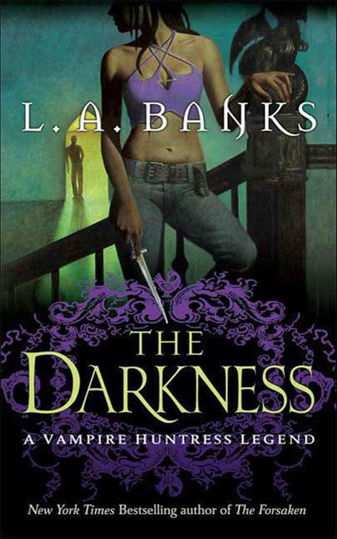 Darkness, Vampire Huntress Legend Series