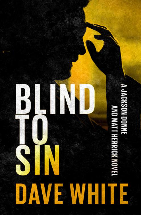Blind to Sin, The Jackson Donne Novels