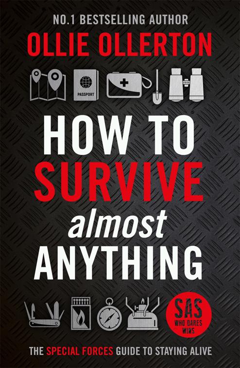 How to Survive Almost Anything