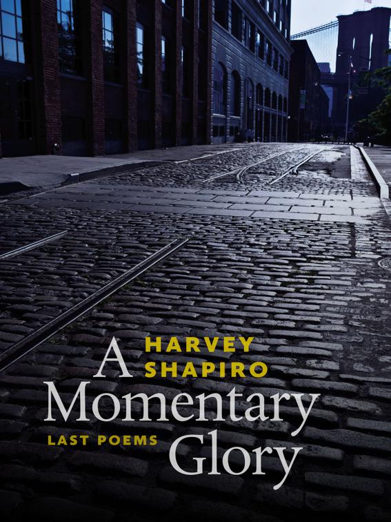 Momentary Glory
