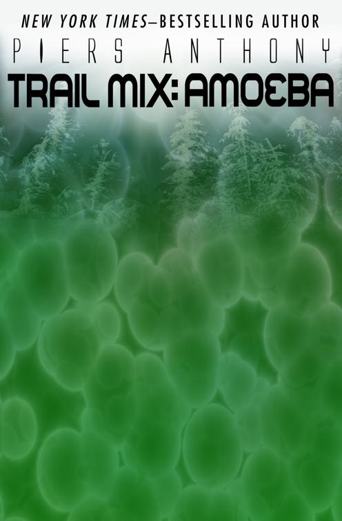 This image is the cover for the book Amoeba, Trail Mix