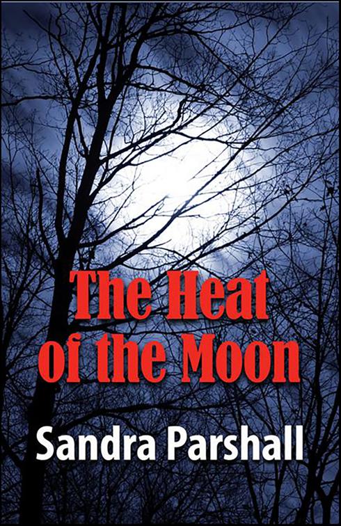 Heat of the Moon, Rachel Goddard Mysteries