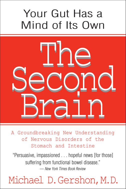 Second Brain