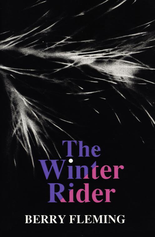 Winter Rider