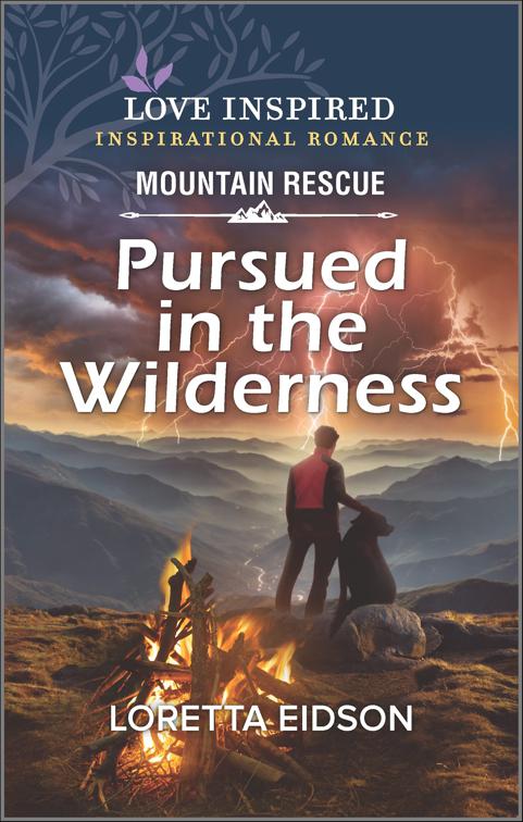 Pursued in the Wilderness, Mountain Rescue