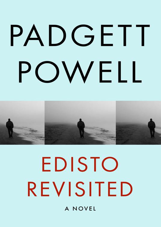 This image is the cover for the book Edisto Revisited
