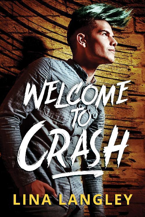 This image is the cover for the book Welcome to Crash