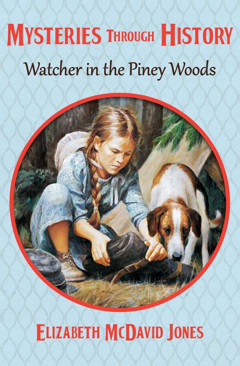 Watcher in the Piney Woods, Mysteries through History