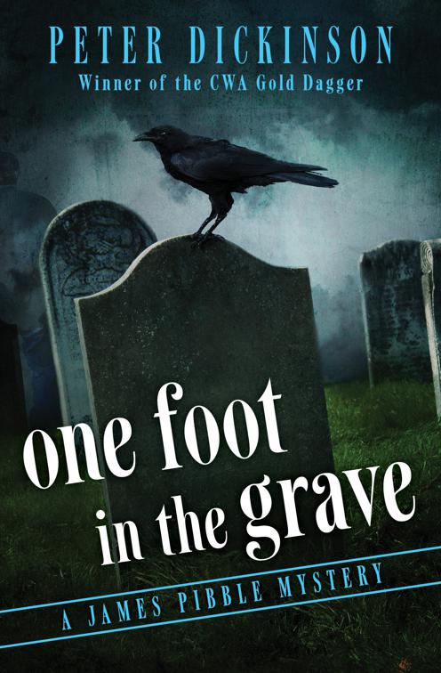 One Foot in the Grave, The James Pibble Mysteries