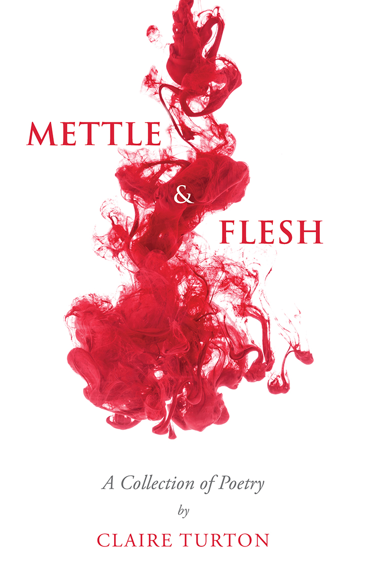 This image is the cover for the book Mettle & Flesh