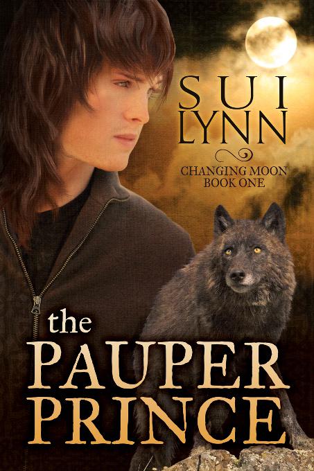This image is the cover for the book The Pauper Prince, Changing Moon