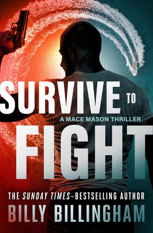 Survive to Fight, The Mace Mason Thrillers