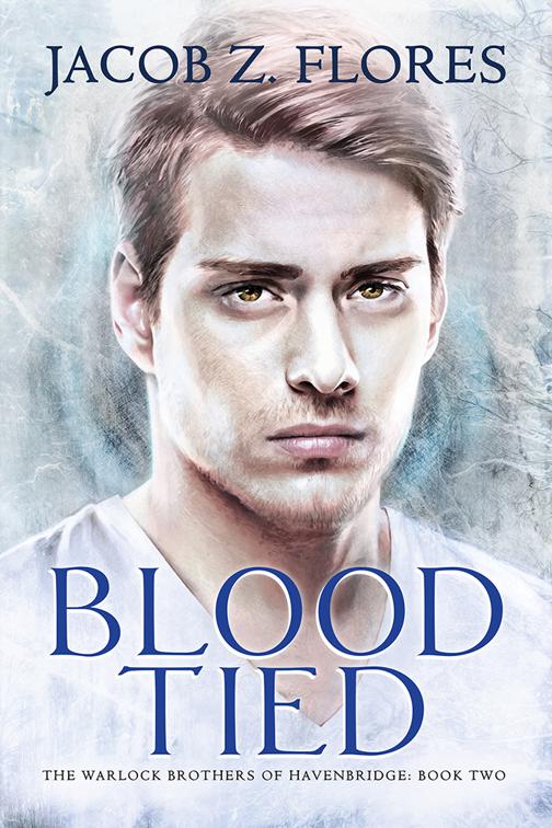 This image is the cover for the book Blood Tied, The Warlock Brothers of Havenbridge