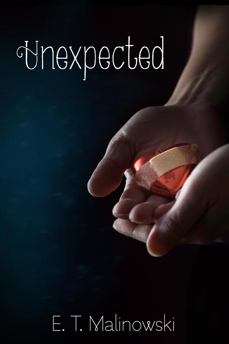 This image is the cover for the book Unexpected, 2014 Daily Dose - Mended