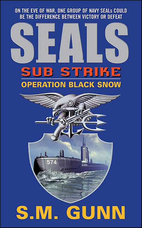 SEALs Sub Strike: Operation Black Snow, SEALs Sub Strike