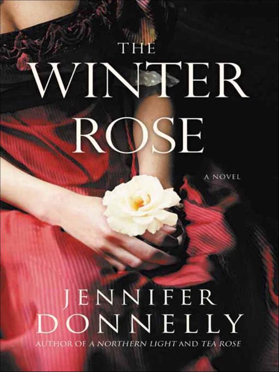 Winter Rose