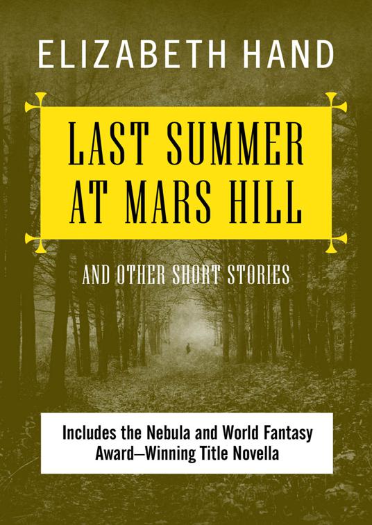 This image is the cover for the book Last Summer at Mars Hill