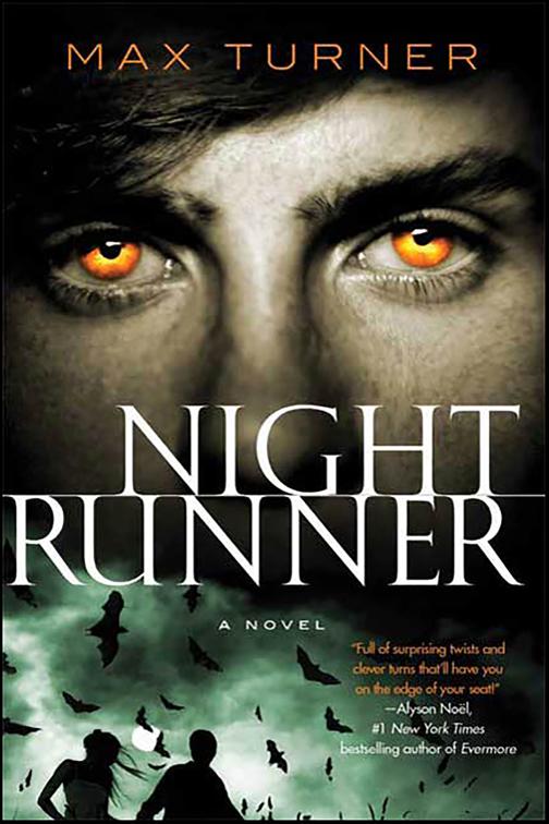 Night Runner, Nightrunner Novels