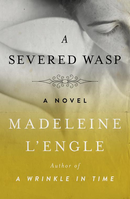 Severed Wasp, Katherine Forrester Vigneras