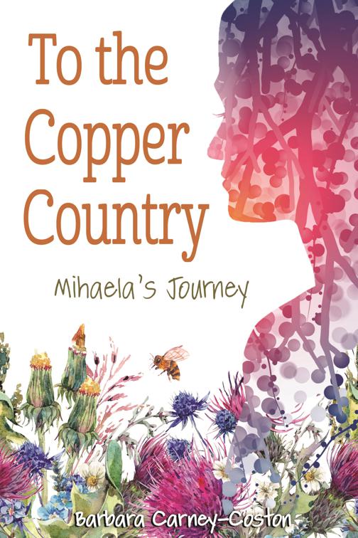 To the Copper Country, Great Lakes Books