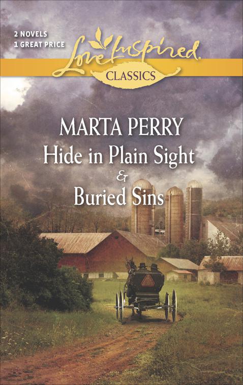 Hide in Plain Sight &amp; Buried Sins, The Three Sisters Inn