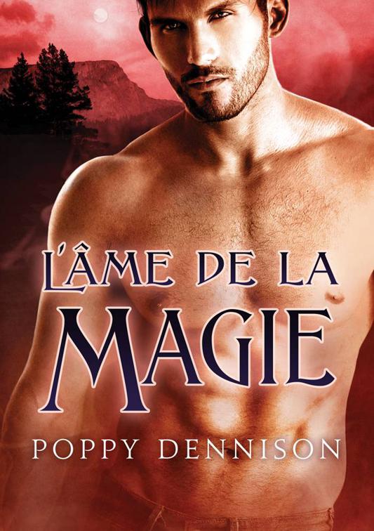 This image is the cover for the book L'âme de la magie, Les Triades