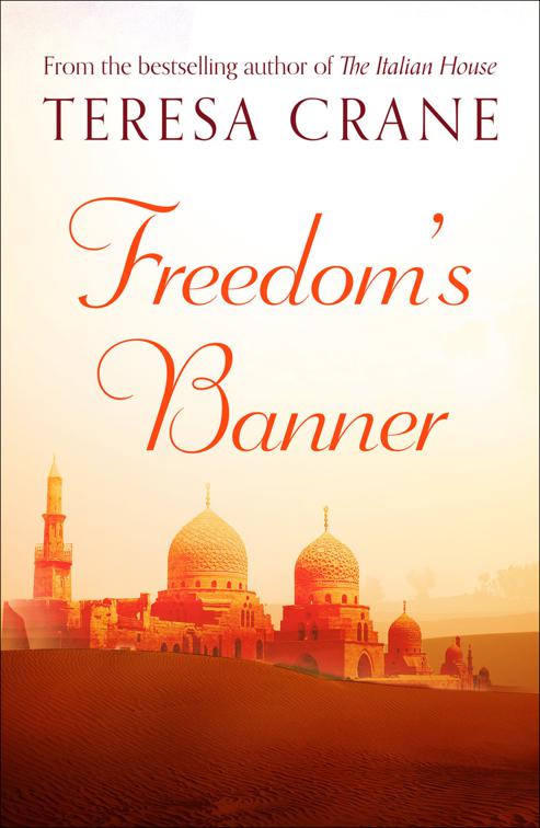 Freedom&#x27;s Banner