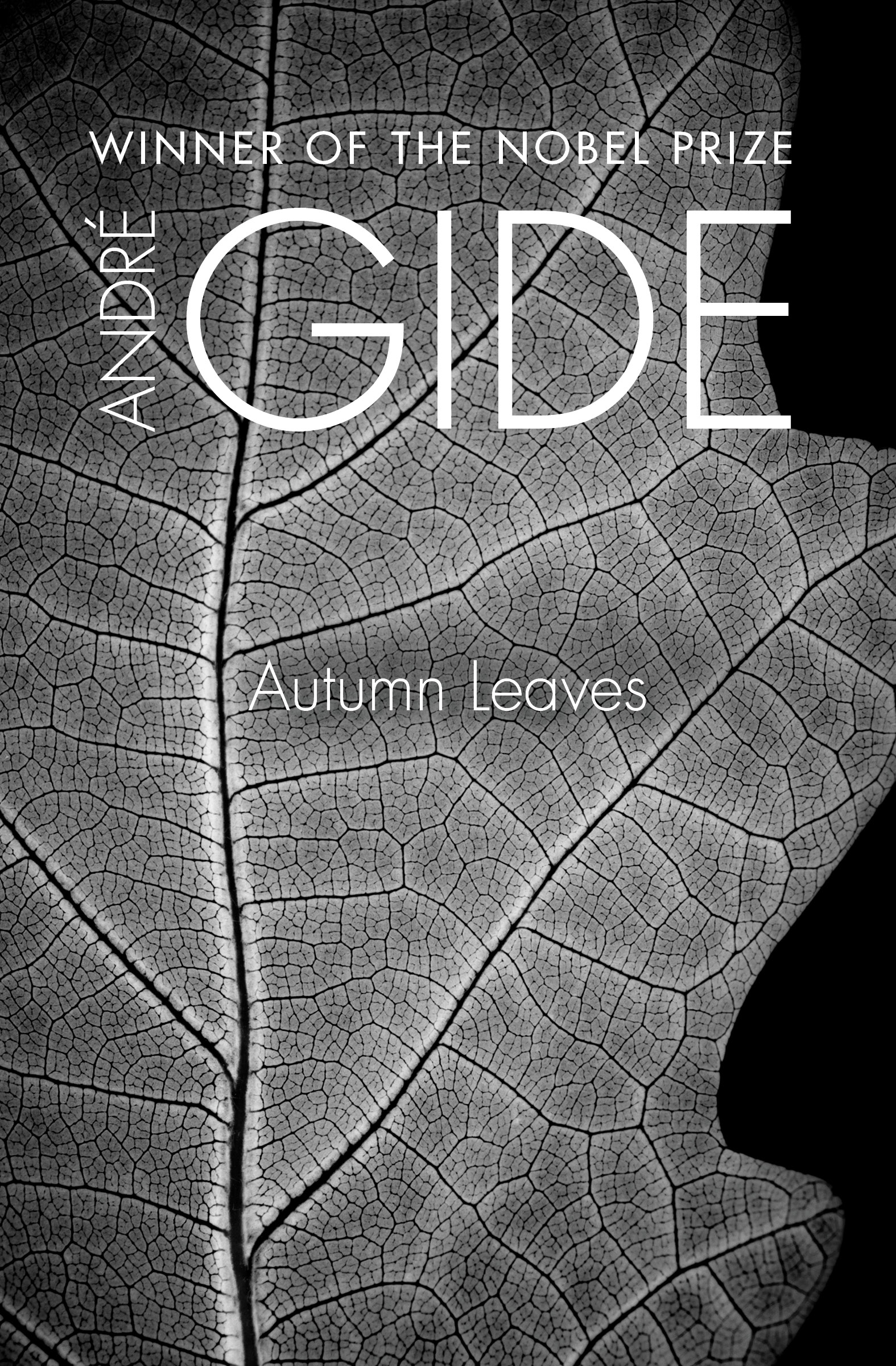 This image is the cover for the book Autumn Leaves