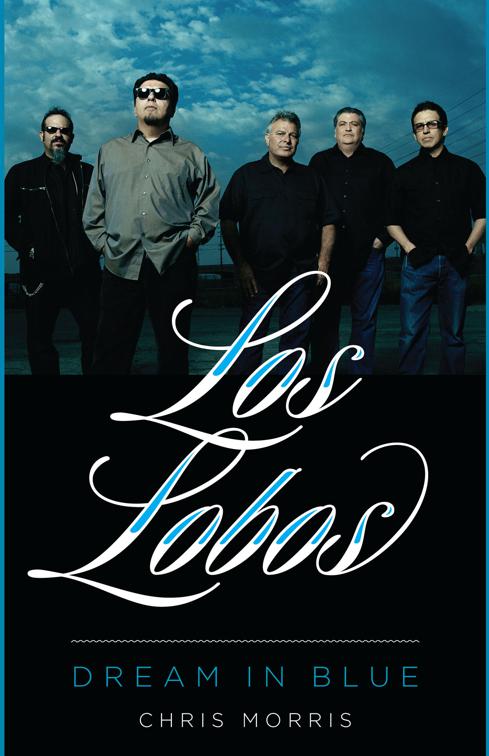 Los Lobos, American Music Series