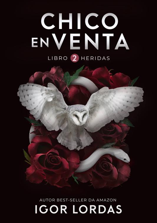 Chico en Venta - Libro 2 (Heridas), Chico en Venta