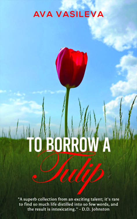 To Borrow a Tulip